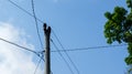 Photo of a utility pole with many wires running down