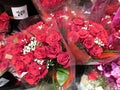 Valentine`s Day Red Roses for Sale