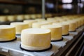 Photo of a variety of cheeses on a conveyor belt. Industrial cheese production plant. Modern technologies. Production of different Royalty Free Stock Photo