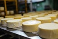 Photo of a variety of cheeses on a moving conveyor belt. Industrial cheese production plant. Modern technologies. Production of Royalty Free Stock Photo