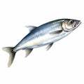 Watercolor Style Clipart Of A Sardine With White Background