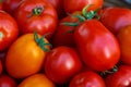 photo of very fresh tomatoes presented Royalty Free Stock Photo