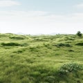 Delicately Rendered Grassland: Photorealistic Representation Of Grassy Terrain