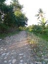 photo of the view of the pavement in a quiet village in the afternoonÃ¯Â¿Â¼