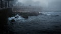 Seaview in marina in winter fog