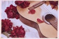 Photo of a vintage film style acoustic wooden guitar lying on a white sheet surrounded by red peonies Royalty Free Stock Photo