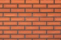 Wall decorative brick Royalty Free Stock Photo