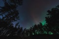 Photo wallpaper of the night forest. Trees against the background of a starry sky with northern lights Royalty Free Stock Photo