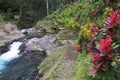 River tourist attraction surrounded by shady trees. Royalty Free Stock Photo