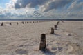 Remains of old piers on the salt marsh