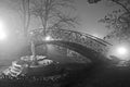 Foggy night in Odessa Royalty Free Stock Photo