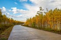 The road and blue sky in autumn birch forests in Great Khingan