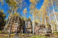 The rock and autumn birch forests in Great Khingan Royalty Free Stock Photo