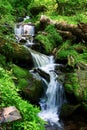 The waterfall is running down the hill Royalty Free Stock Photo