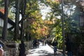 Passage way to Tofukuji Temple During Autumn Royalty Free Stock Photo
