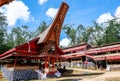 Traditional Festivals of Torajan at Sulawesi Royalty Free Stock Photo