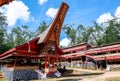 Traditional Festivals of Torajan at Sulawesi