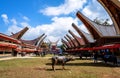 Traditional Festivals of Torajan at Sulawesi Royalty Free Stock Photo