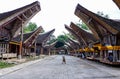 Traditional houses at Kete Kesu Village, Tana Toraja, Sulawesi