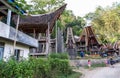 The traditional villages at Tana Toraja, Sulawesi