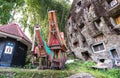 Tombs of Torajan in Sulawesi, Indonesia