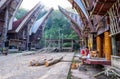 The traditional villages at Tana Toraja, Sulawesi