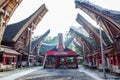 The traditional villages at Tana Toraja, Sulawesi