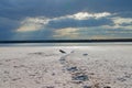 Dead estuary shores covered with salt