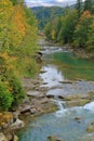 Mountain river in the autumn forest Royalty Free Stock Photo