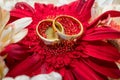 Wedding rings on red flower