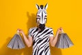 Photo of weird bizarre anonym guy in zebra mask hold bags purchase isolated over bright yellow color background