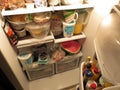 Well Stocked Refrigerator