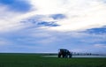 Photo of a wheat field Spraying a tractor with agrochemical or agrochemical preparations over a young wheat field in