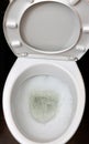 A photo of a white ceramic toilet bowl in the process of washing it off. Ceramic sanitary ware for correcting the need with an au Royalty Free Stock Photo