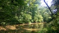 Photo of a creek in Delaware.