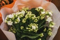 Photo of white flowers in a bouquet