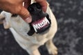 white and healthy dog teeths