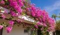 Photo of a white house adorned with vibrant purple flowers Royalty Free Stock Photo