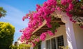 Photo of a white house adorned with vibrant purple flowers Royalty Free Stock Photo