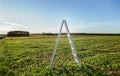 Photo of white wooden ladder on the green fields leading high up in the blue sky Royalty Free Stock Photo