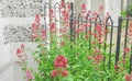 country garden stone wall flint manor house mansion castle fencing railings metal natiral Royalty Free Stock Photo