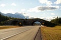 A photo of a wildife crossing or bridge, an overpass over a highway outside of Banff, Alberta, Canada.