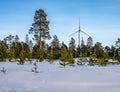 Photo of windmill in winter pine tree forest, blue sky, foggy winter sun, Sweden