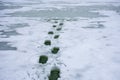 Photo of winter scene fall through ice, drowning or dangers of walking on thin ice of rivers, lakes, ponds and other water reservo