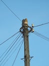 Telegraph communications pole wiring junction