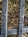 Photo of wood charcoal burning ash Royalty Free Stock Photo