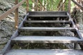 Wooden bridge in the forest for hiking travelers and tourists Royalty Free Stock Photo