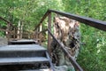 Wooden bridge in the forest for hiking travelers and tourists Royalty Free Stock Photo