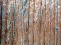 Photo wooden surface. Vertical line.