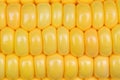 Photo of yellow corn background, abstract backgrounds, Royalty Free Stock Photo